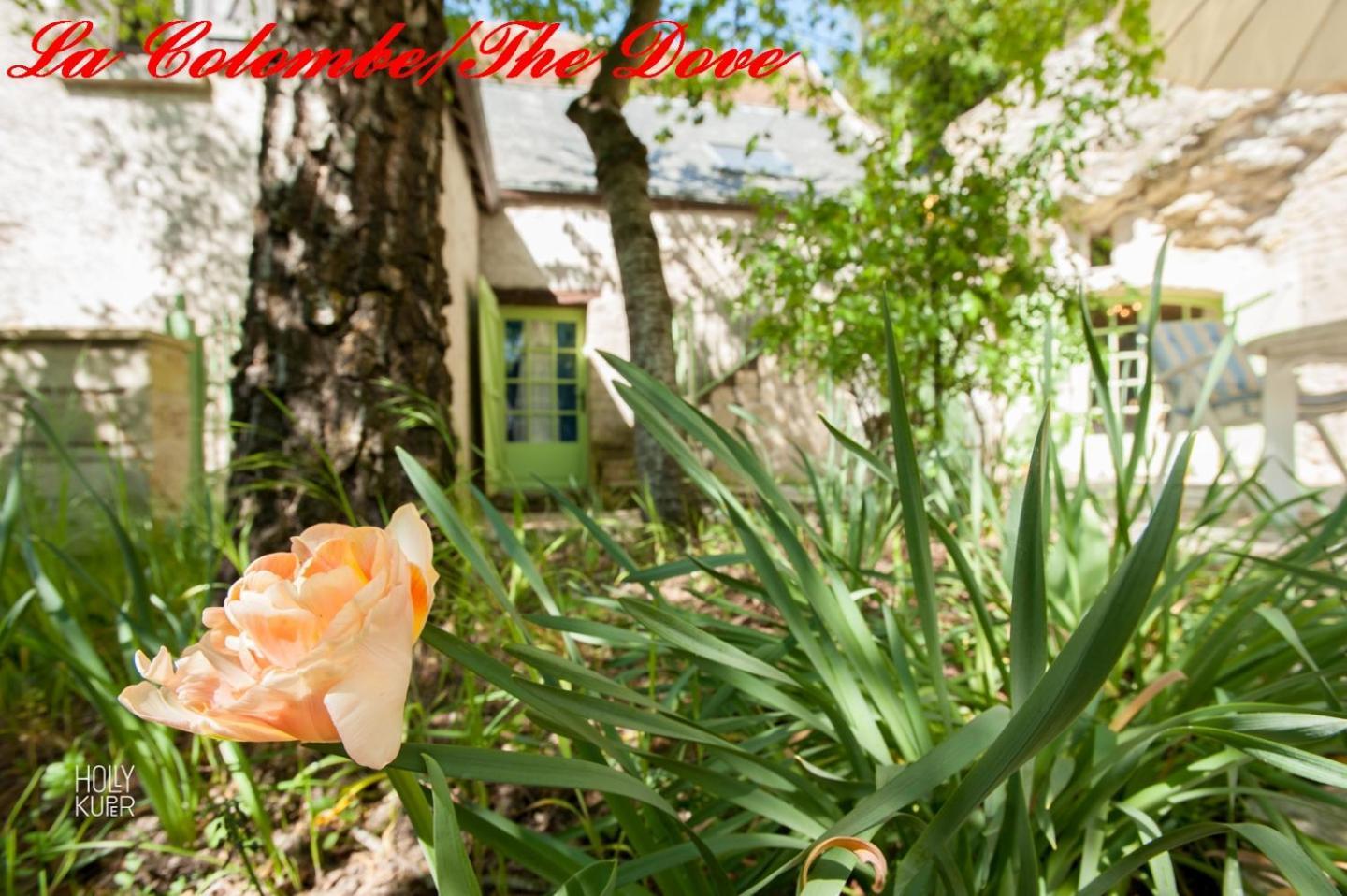 Songbird Sanctuary Villa Civray-de-Touraine Exterior photo