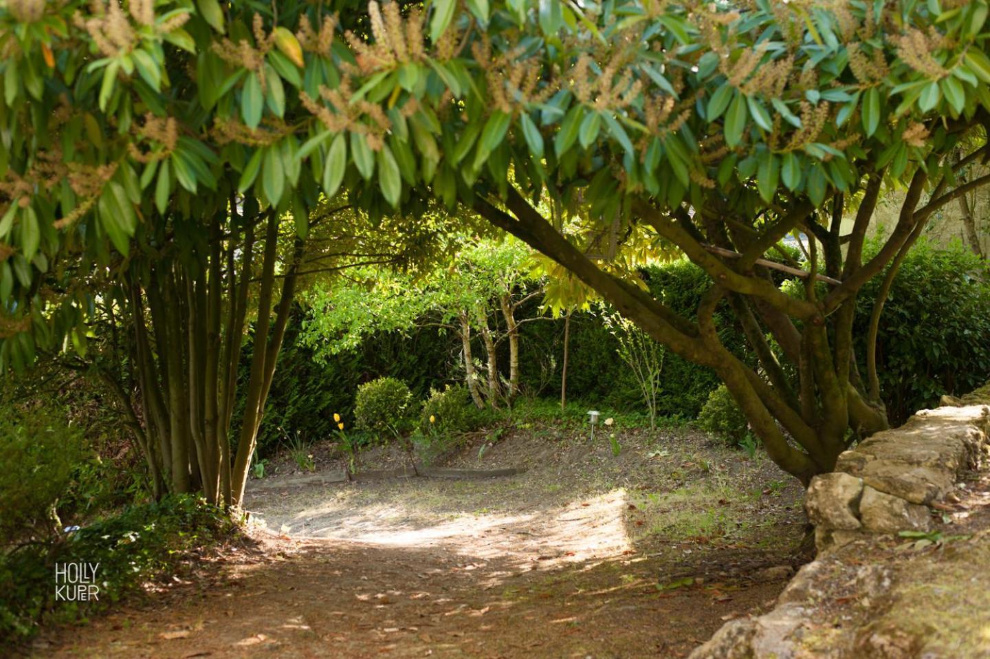 Songbird Sanctuary Villa Civray-de-Touraine Room photo